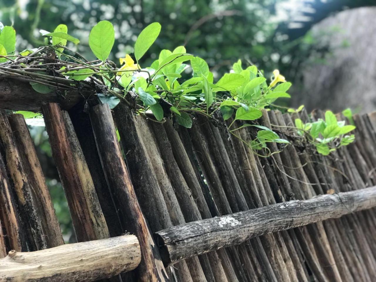Cabanas La Alborada Villa Tulum Esterno foto